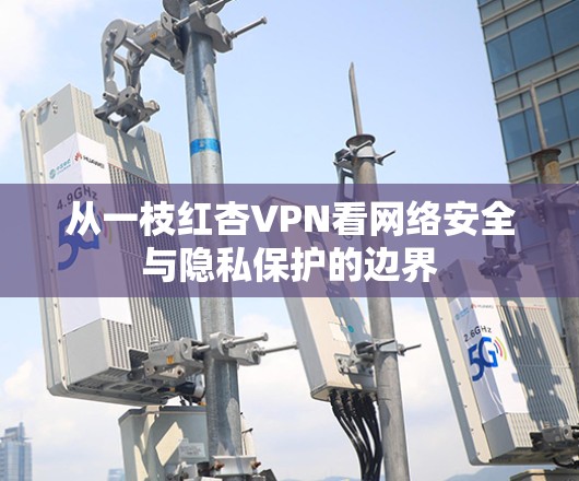 从一枝红杏VPN看网络安全与隐私保护的边界