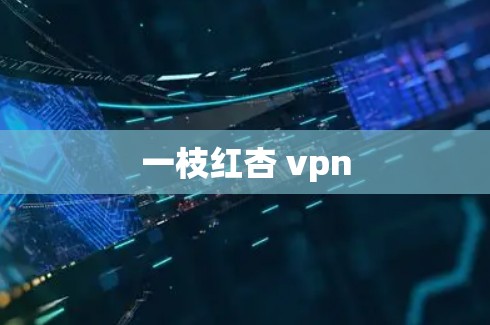 一枝红杏 vpn