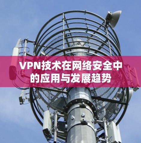 VPN技术在网络安全中的应用与发展趋势
