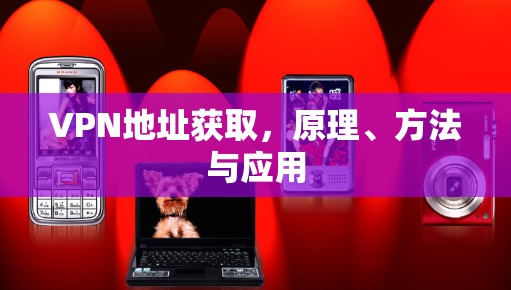 VPN地址获取，原理、方法与应用