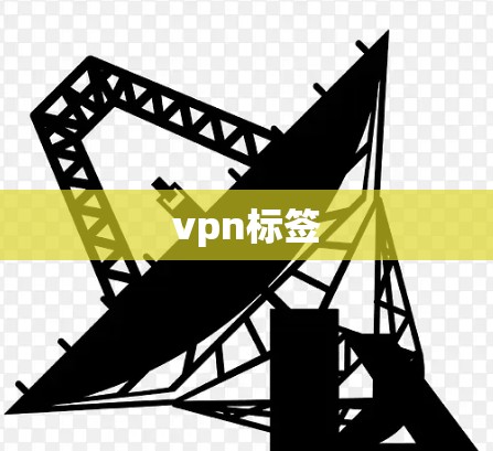vpn标签