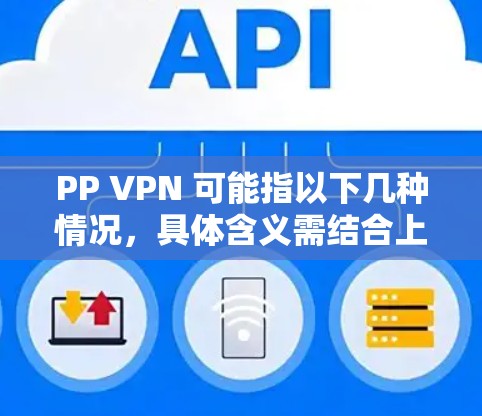 PP VPN 可能指以下几种情况，具体含义需结合上下文判断