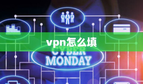 vpn怎么填